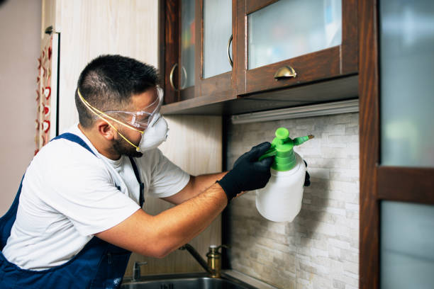 Best Exterminator Services  in Pahokee, FL