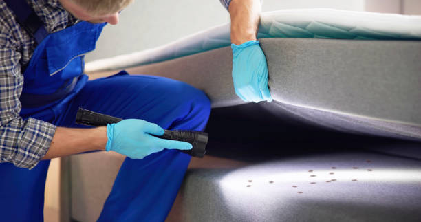 Best Pest Control for Homes  in Pahokee, FL
