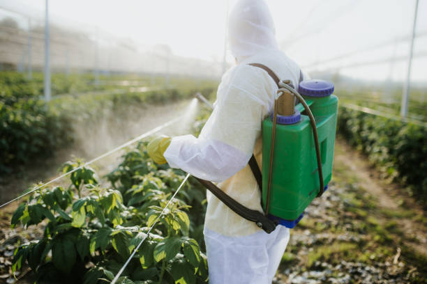  Pahokee, FL Pest Control Pros